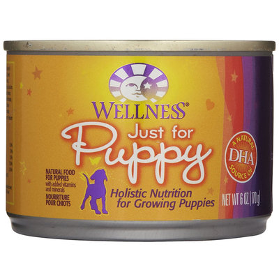 Wellpet Llc Wellpet OM08871 246 oz Wellness Just for Puppy Food