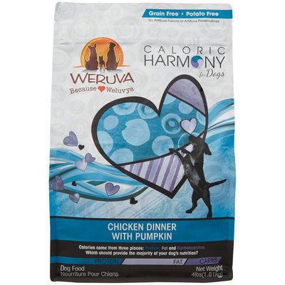 Weruva Caloric Melody Chicken Dinner with Pumpkin - 4 lb