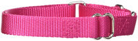 Petedge ZA1524 18 81 GG Nylon Martingale Cllr 18-26 In Raspberry