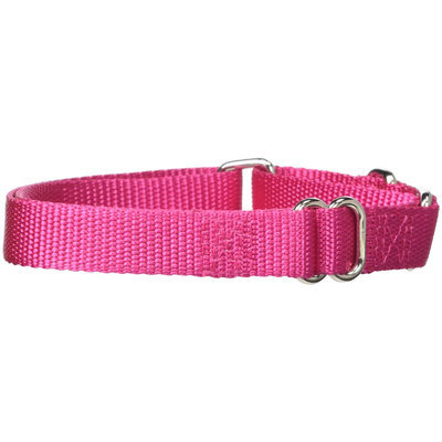 Petedge ZA1524 18 81 GG Nylon Martingale Cllr 18-26 In Raspberry