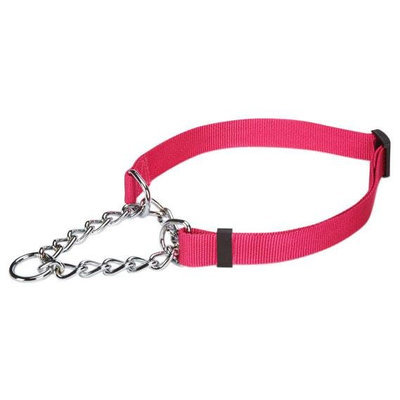 Petedge Guardian Gear Martingale Dog Collar LG Ras