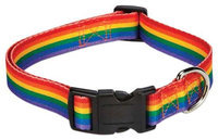 Petedge Casual Canine Puppy Pride Dog Collar 6 to 10in