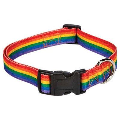 Petedge Casual Canine Puppy Pride Dog Collar 6 to 10in