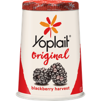 Yoplait® Original Blackberry Harvest Yogurt