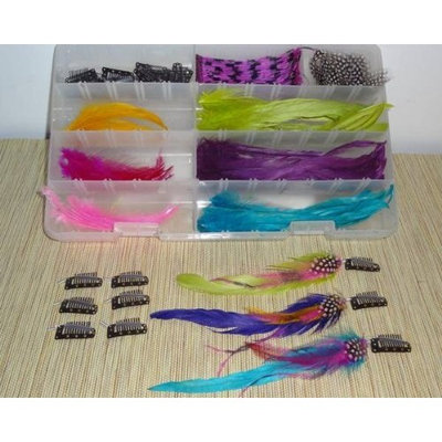 Jewelry Locks Feather Hair Extensions DIY Kit