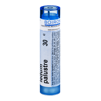 Boiron Ledum Palustre 30 C - 80 CT