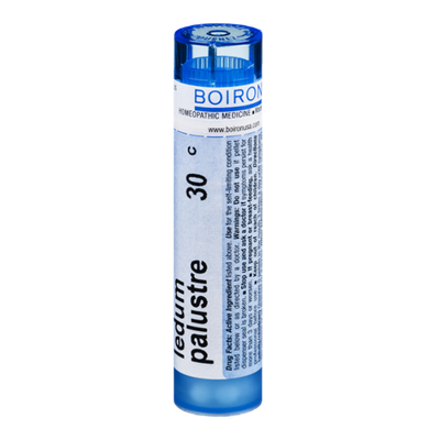 Boiron Ledum Palustre 30 C - 80 CT