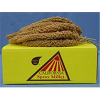 Golden Farms Golden Farm Products 250201 Gldf 25 Calif Gold Spray Millet