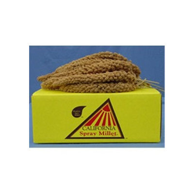 Golden Farms Golden Farm Products 250201 Gldf 25 Calif Gold Spray Millet