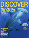 Discover