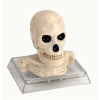 JW Pet Company ActivAir Skull Aquarium Ornament