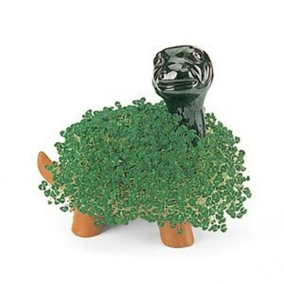 Joseph Enterprises CP 035-16 Dinosaur Chia Pet- Case of 16