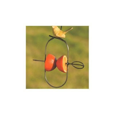 Ancient Graffiti Ceramic Fruit Spear Decorative Bird Feeder Set of 4