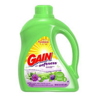 Gain With Freshlock Simply Fresh Liquid Detergent 48 Loads, 100 Ounce
