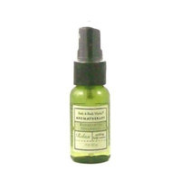 Bath Body Works Bath and Body Works Aromatherapy EUCALYPTUS SPEARMINT Relax Soothing Body Essence 1 fl oz