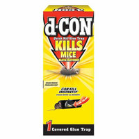 d-CON Quick-Kill Covered Glue Trap for Mice