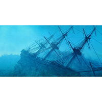 Top Fin Shipwreck Aquarium Cling