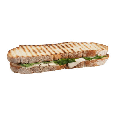 Ahold Turkey Panini