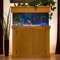 Advance Aqua Tanks Uniquarium Rectangular Aquarium Black, Size: 300-Gal (96W x 24D x 30H in.)