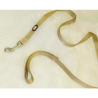 Hamilton Pet Products Nylon Lead with Swivel Snap in Gold Size: 48