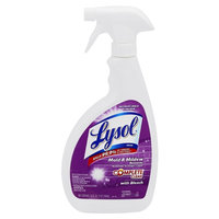 Lysol Mildew Remover with Bleach