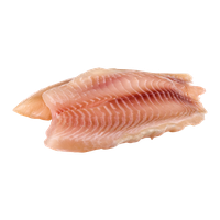 Tilapia Fillet