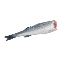Branzino - Farm Raised