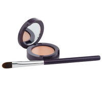 tarte Dark Circle Defense Natural Under Eye Corrector
