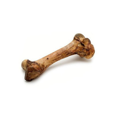 Bone Buddies Mammoth Dog Bone