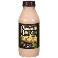 Promised Land Midnight Chocolate Milk, 1 Qt
