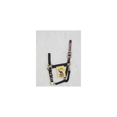 Hamilton Halter Company Adjustable Halter With Leather Headpole