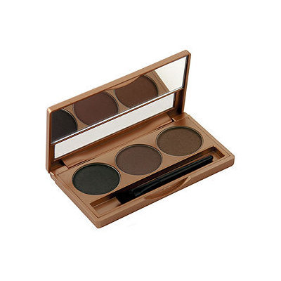 Colorescience Brow Palette