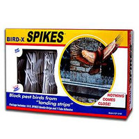 Bird-X Inc Plastic Bird Spikes Kit with Glue