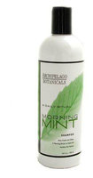 Archipelago Botanicals Morning Mint Shampoo 16.0 oz