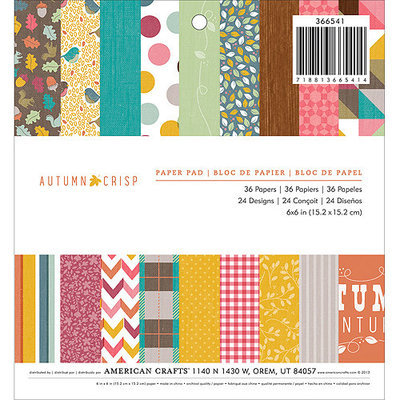 American Crafts 6