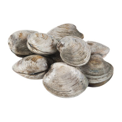Cherrystone Clams