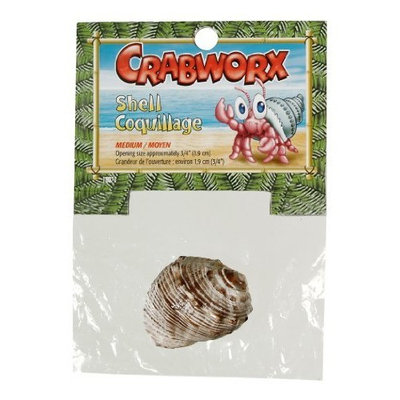 Hagen Crabworx Shell, Medium