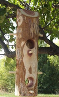 Songbird Essentials SESCS405 Suet Log with Perches