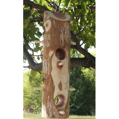 Songbird Essentials SESCS405 Suet Log with Perches