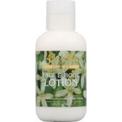 Face & Body Lotion Aloe Life 4 oz Liquid