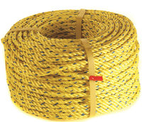 The Danielson Company Danielson Lead Core Rope - 100'