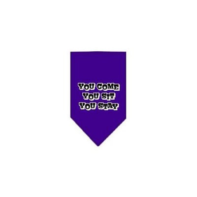 Ahi You Come You Sit You Stay Screen Print Bandana Purple Small