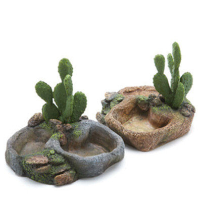 All Living ThingsA Cactus Reptile Dish