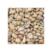 Stoney River Jumbo Gems Sapphire for Freshwater Aquariums, 5-Pound Bag