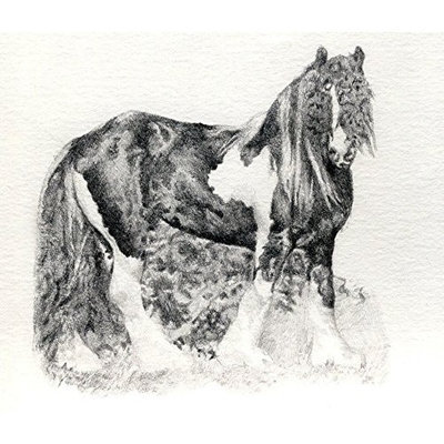 Olde Time Mercantile Gypsy Cob Horse Portrait Matted Art Print - 5 in x 7 in Design - 8 in x 10 in Matted