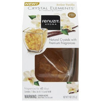 Dial Renuzit Crystal Elements Air Freshener Starter Kit-Amber Vanilla-9 oz.