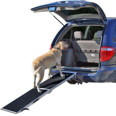 Rage Powersports 82 Lightweight Extra Wide Folding Aluminum Pet Ramp