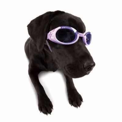 DogglesILS Medium Lilac Flower Frame with Purple Lens Dog Goggles