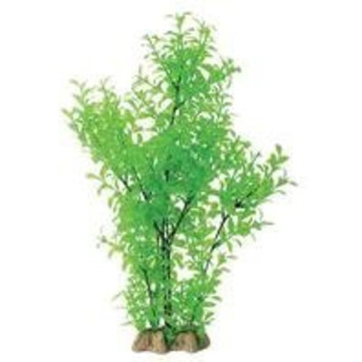 Pure Aquatic Natural Elements Green Ludwigia Aquarium Ornament in Green