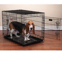 Pet Pals ZW607 48 Everlasting Crate with Dual Doors Xlg 48x30x35 In S